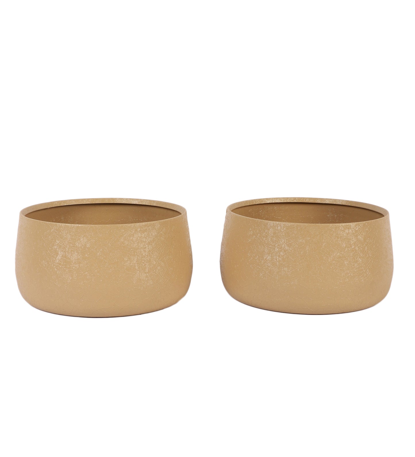 Biege Bowl Textured Planter Set of 2