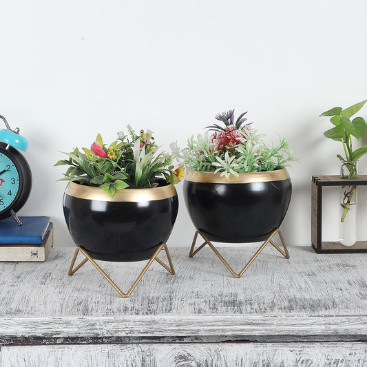 Black Apple Planter Set of 2