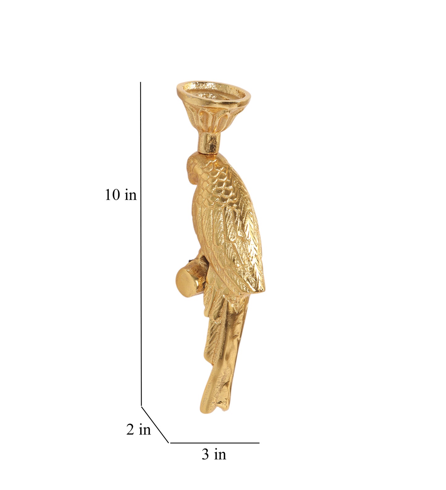 Wall Parrot Tealight Holder