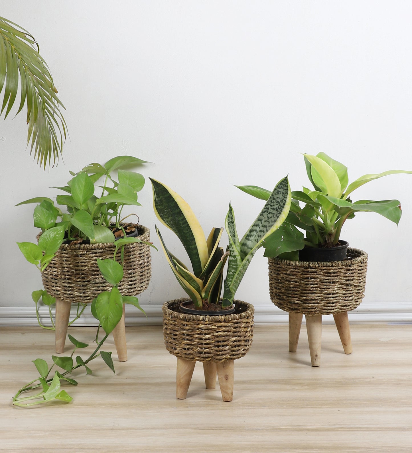 Biege Jute Planter Set of 3